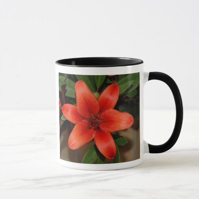 Mug Fleur Lily orange parfaite (Droite)