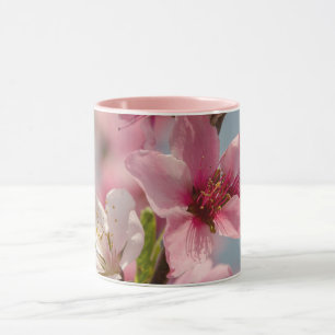 Mug Fleur Sakura, Fleur japonaise rose