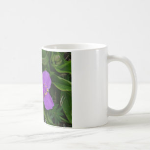 Mug Fleur sauvage Fuchsia Spiderwort Hot Springs Cadea