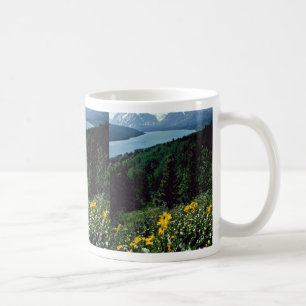 Mug Fleurs au lac deux medicine - PA nationale de