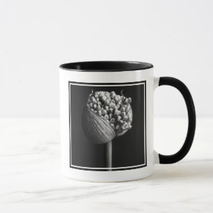 Mug Fleurs   B&W Allium Flower Bud