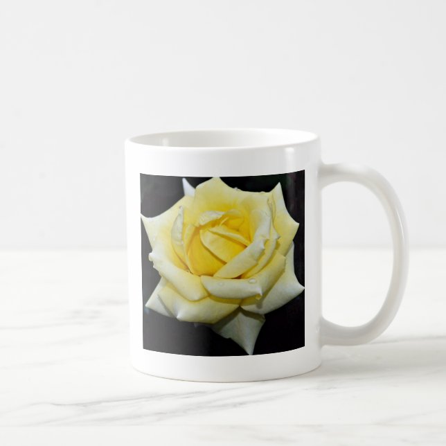 Mug Fleurs blanches hybrides de "Helmut Schmidt" de (Droite)