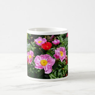 Mug Fleurs de pivoines chinoises pourpres Carte postal