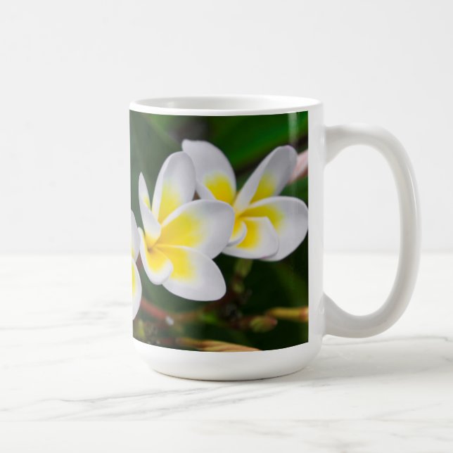 Mug Fleurs de plumeria en gros plan, Hawaï (Droite)