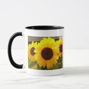 Mug Fleurs de soleil
