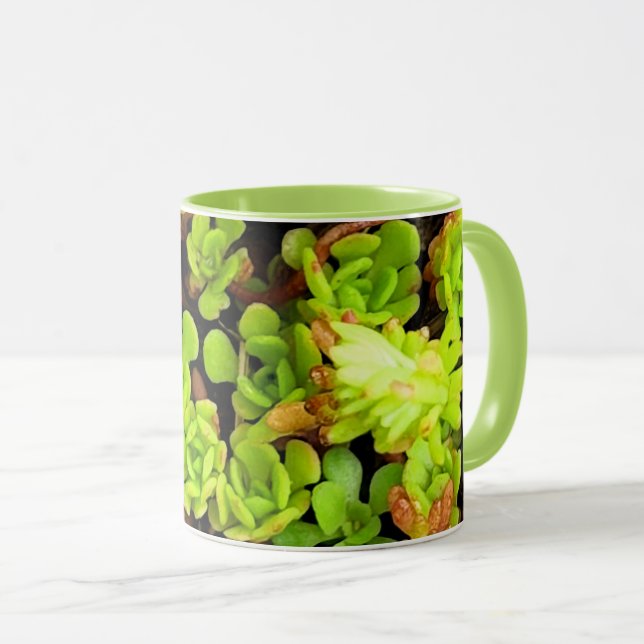 Mug Fleurs de succulentes vertes (Devant droit)