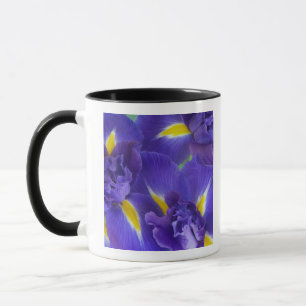 Mug Fleurs d'Iris