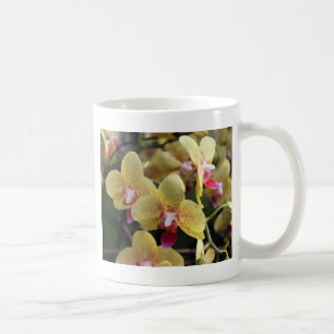 Mug Fleurs d'orchidées jaunes