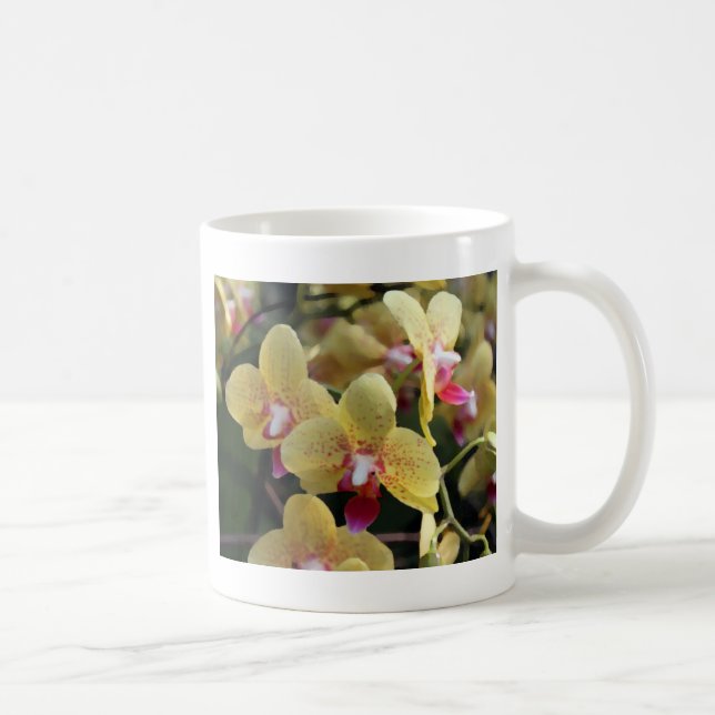 Mug Fleurs d'orchidées jaunes (Droite)