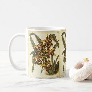 Mug Fleurs d'orchidées Odontoglossum tropicales vintag