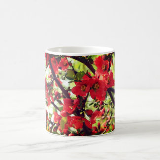 Mug Fleurs rouges de coing