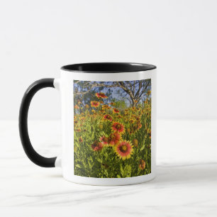 Mug fleurs sauvages à roues à feu (Gaillardia pulche