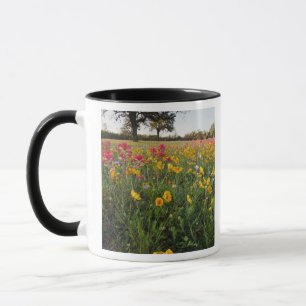 Mug Fleurs sauvages au bord de la route au Texas, prin