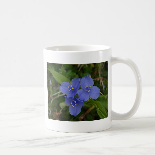 Mug Fleurs sauvages Blue Spiderwort Hot Springs AR Cad (Droite)