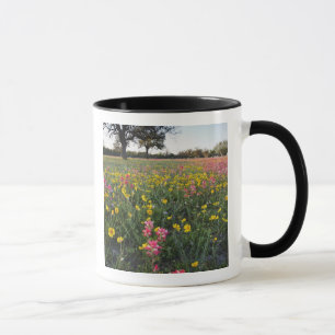 Mug fleurs sauvages de la route au Texas, printemps