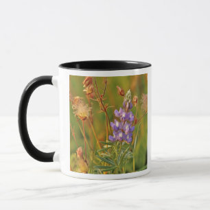 Mug Fleurs sauvages de lupin et de prairie smoke dans