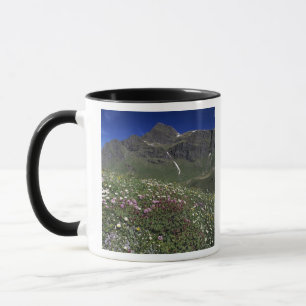 Mug Fleurs sauvages, en fleurs, Alpes, Suisse