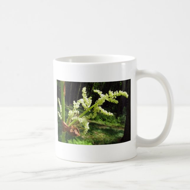 Mug Flower Rhubarb Stalks Nature Photo (Droite)