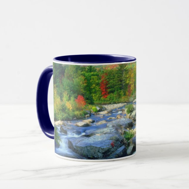 Mug Flume Falls | Montagnes Adirondack (Devant gauche)