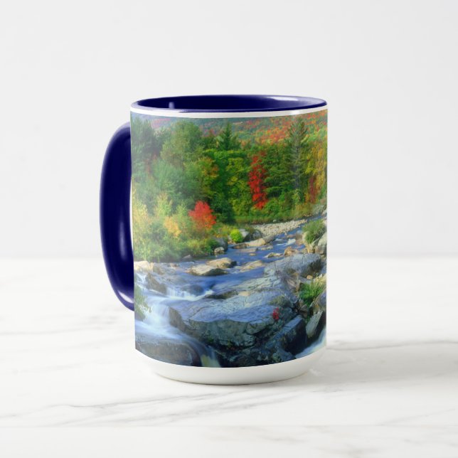 Mug Flume Falls | Monts Adirondack (Devant gauche)