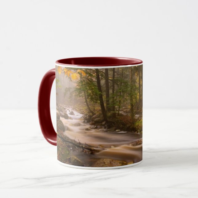 Mug Flux Flux Sentier Appalachien | Vermont (Devant gauche)