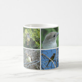 Mug FLYCATCHER de Galápagos