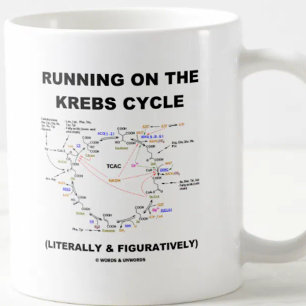 Mug Fonctionnement sur le cycle de Krebs (humour de la