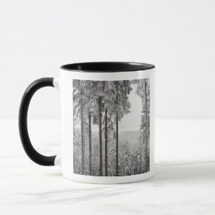 Mug Forêt à feuillage persistant en hiver