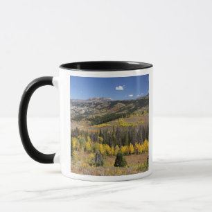 Mug Forêt nationale de Bridger-Teton
