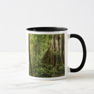 Mug Forêt nuageuse, Bosque de Paz, Costa Rica