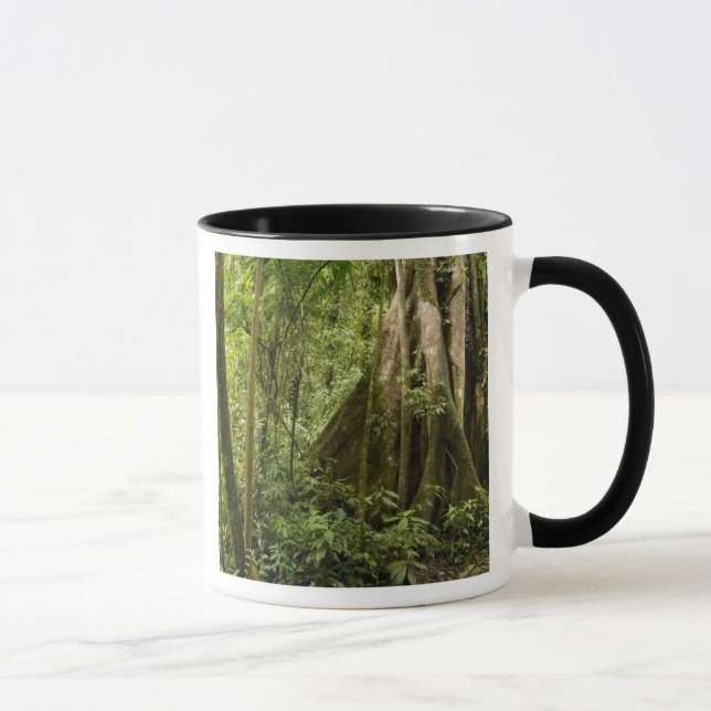 Mug Forêt nuageuse, Bosque de Paz, Costa Rica (Droite)