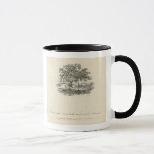 Mug Forme dans laquelle William Penn
