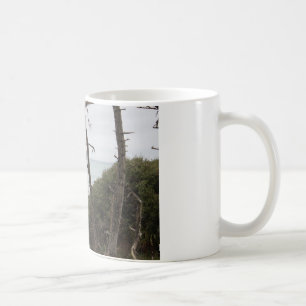 Mug Fort Bragg, littoral de CA