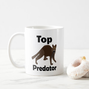 Mug Fossa Madagascar Carnivore Prédateur