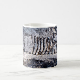 Mug Fossile Céphalopode Nautiloïde Mollusque Marin Anc