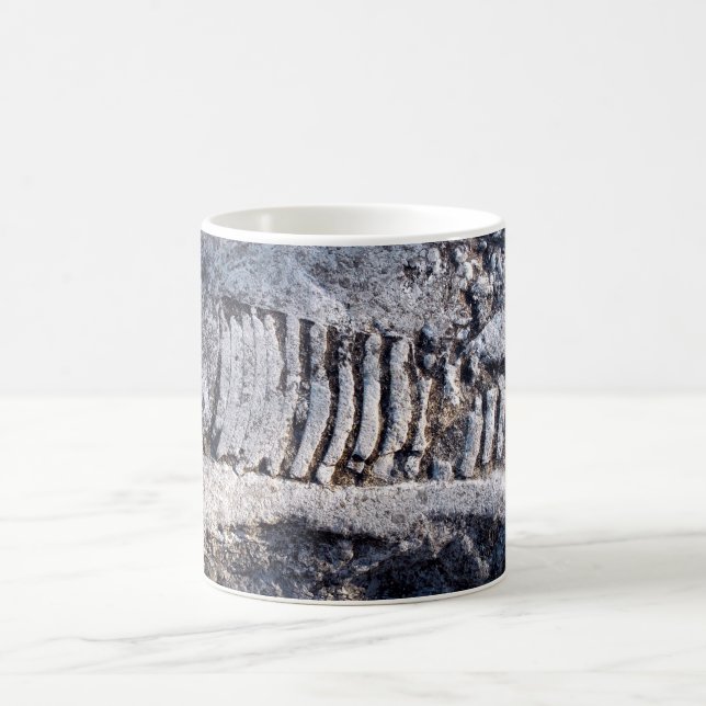 Mug Fossile Céphalopode Nautiloïde Mollusque Marin Anc (Centre)