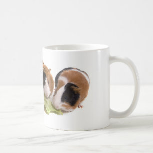 Mug four guinea pigs who eat,