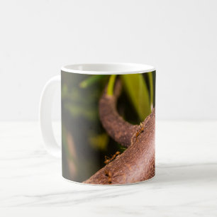 Mug Fourmis de tisserand sur un bois