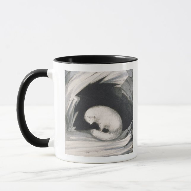 Mug Fox arctique, de 'récit d'un deuxième voyage (Gauche)