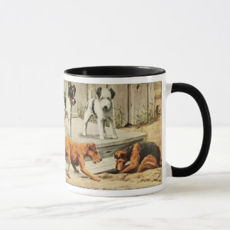Mug Fox de cru, Fox de fil, Gallois, et terriers