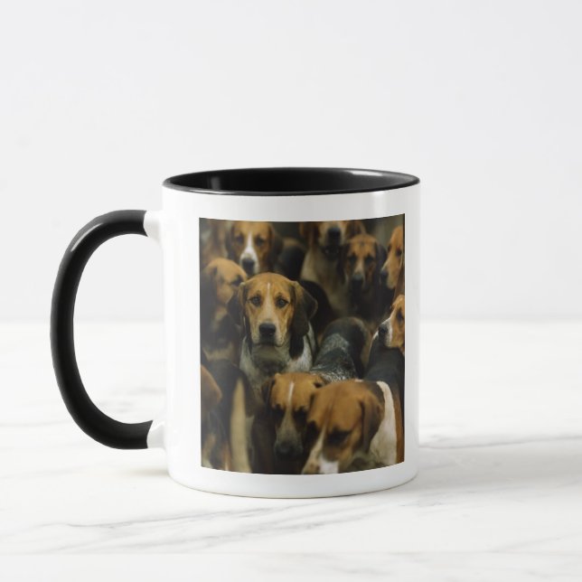 Mug Fox-hounds de chasse, blazers de Galway, Irlande (Gauche)