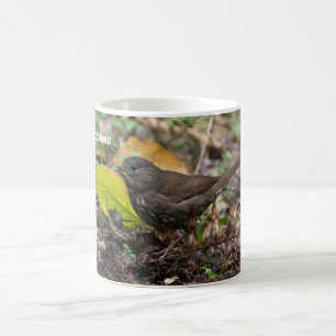 Mug Fox Sparrow