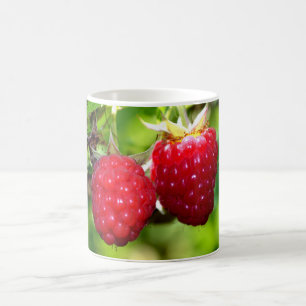 Mug Framboises rouges amusantes