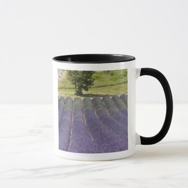 Mug France, Provence. Rangées de lavande en fleurs. (Droite)