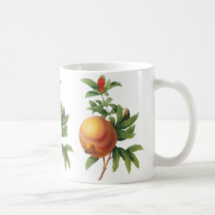 Mug Fruit de nourriture vintage, Grenade par Redoute