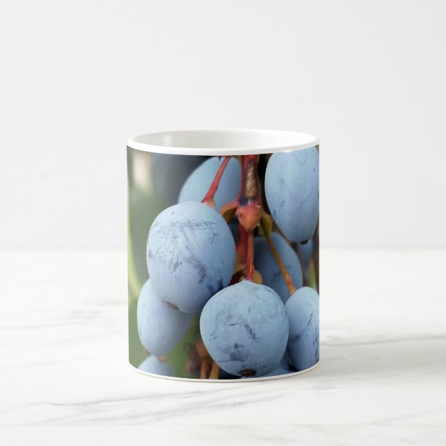 Mug Fruit d'épine noire (Centre)
