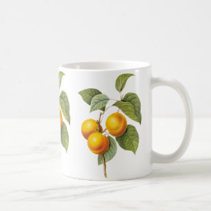 Mug Fruit vintage, Pêche à l'abricot par Redoute