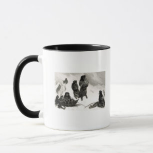Mug Fuegians allant commercer Zapallos