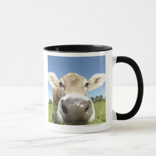 Mug Fuessen, Bavière, Allemagne