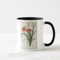Fulva de Hemerocallis, de "Les Liliacees", 1805